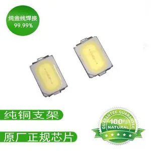 东莞3020LED灯珠 源科LED