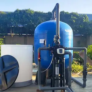 高硬度水工业全自动软化水设备 dienwp迪恩水处理