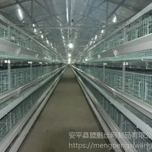 层叠式肉鸡笼养殖设备H型肉鸡笼框架式支架笼