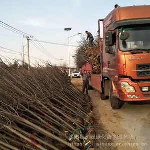 6�����������ļ۸� ��������7��8�����������ķ羰����ʵ��װ������Ǯһ��