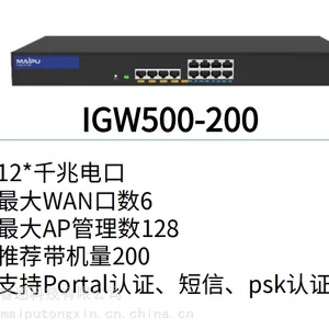 智能云管融合网关 迈普IGW500-200