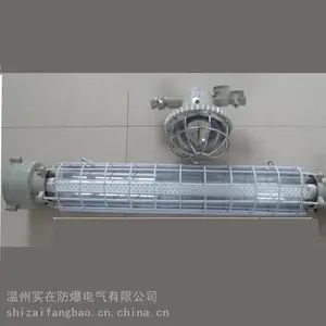 温州实在防爆供应DGS18/127L矿用隔爆型LED巷道灯