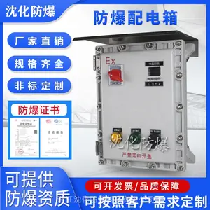气动阀门防爆控制箱 非标定制照明动力配电箱 应急集中电源控制柜