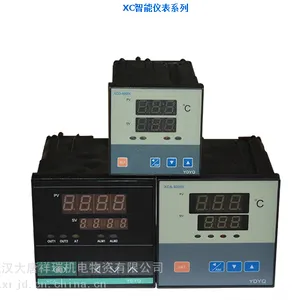 XGQ-B YDYQ温控仪 XGQ-B
