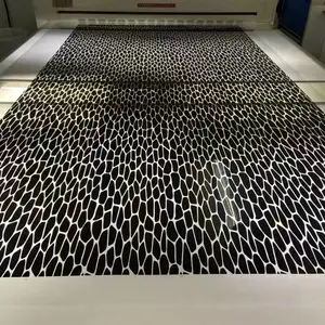 ���ֵ�Ƭ�߾���50800DPI