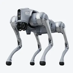全国科技互动机器人租赁 小熊U租企业租赁供应