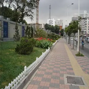 С����ƺ���� ԰�շ����� �����ƺ����