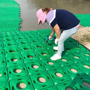 ���Ƹ��и�����̬���� ˮ�徻�� ��Ч��̬����