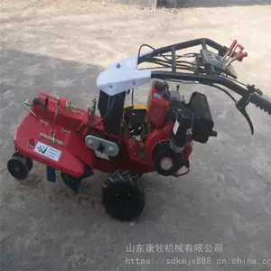 �ع���ֲ��¢�� ���Ϳ��������� �����������������
