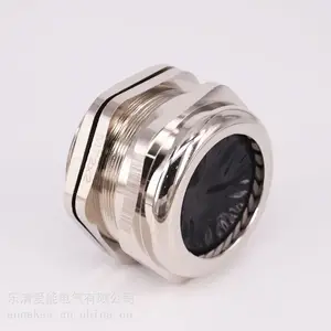 M64x2金属铠装电缆接头双密封铠装格兰头电缆铠装填料函葛兰头M63