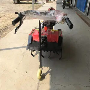 С�������� ������������� �������������� ����