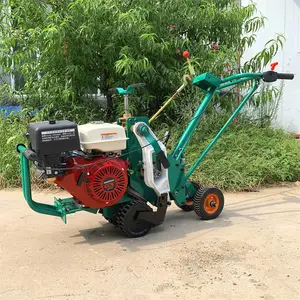 ��Ƥ���ݻ� �����ƺ������ ��ֲ��Ƥ���������ͻ�������