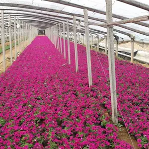 ����ֱ��һ�����ݱ�����,һ���ļ��ݻ�Ʒ��