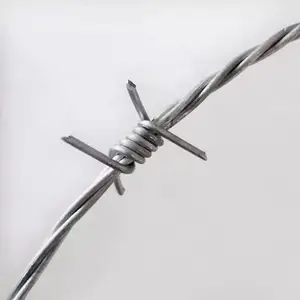 ����Χǽ������˿ ����޼��п���� С��Ժǽ������