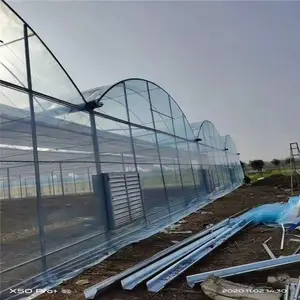 �㶫�Ƹ�����ܳ��� ���ܴ��� ũҵ���Ҵ��� �߲˴��� ����ֹܳ�