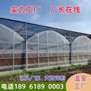 上 海标准塑料薄膜连栋大棚 GSW-8440规格连体大棚 主拱管40×60方管