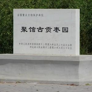 黄骅市优品冬枣销售部