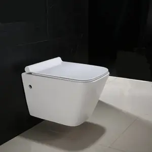 WDI小空间挂墙马桶壁挂坐便隐藏水箱 壁挂式座便 挂墙挂便器壁挂座便