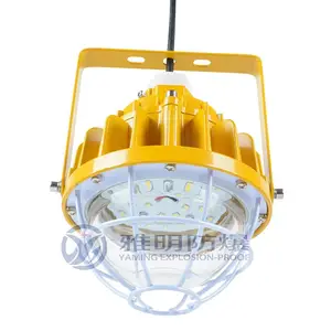 LED防爆灯30W 防爆LED吸顶灯30W 壁式防爆LED灯30W