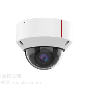D3250-10-I-P(2.8mm) 1T 500万红外AI半球型摄像机