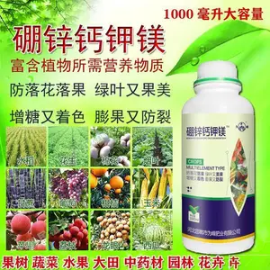 Ϊ���ҵ��п�Ƽ�þ����Ԫ��ͬ��Ҷ���1000����