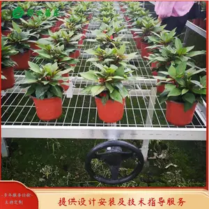 邵阳大棚苗床设备生产厂家 移动式养花苗床安装调试