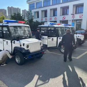 利凯士得电动餐车