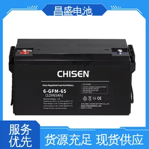 ��ɫ���� ����*** ������ �������� 6-GFM-65 ����ϵͳ ������Դ ��ʢ