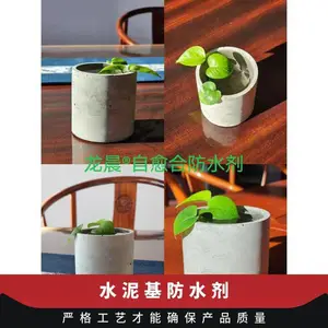龙晨结构自防水材料地下潮湿背水面无机防水抗渗材料快速固化水