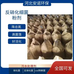 固体硝化菌剂 降低污水COD适应高难度废水河北安诺环保
