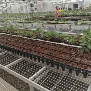 复产育苗专用移动苗床 快速恢复育苗产能 厂家现货优先发货