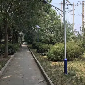 供应一事一议太阳能亮化照明