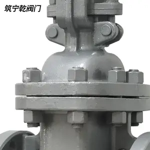 ����Ǭ ��������բ�� ̼�ַ���բ�� dn80 �ֶ�����