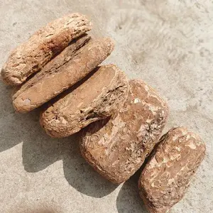 ������Ѩ�л�����Ƥ �̵��������۵������� ����ֱ��