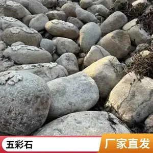 园林枯山水鹅卵石 专用鹅卵石 园林铺面石子润石