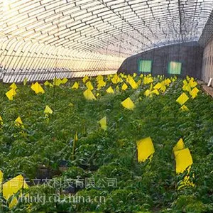 育禾立农LN粘虫板诱虫板