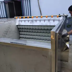 厂家供应 羊头蹄毛辊清洗机 羊头专用清洗设备 毛刷不倒毛