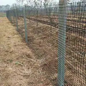黑色玉米囤塑料网 大鹅鸡鸭养殖网 棚顶托水网1-6米长