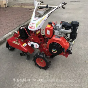 ��԰����ʩ�ʻ��˵ػ� �н���С�Ϳ�����
