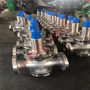 Y42F-25P DN50�����Һ���ѹ�� ��ѹҺ���ѹ�� �͸�ʴ��Һ�� ��������