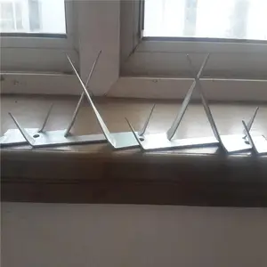 ��п��Ŵ̶� С��Ժǽ�����̶� ��������������