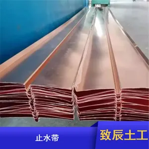 T2止水铜板背贴式橡胶止水带