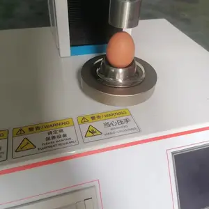 ����ǿ�Ȳⶨ�� �ݵ�����ǿ�Ȳⶨ�� ��������ǿ�Ȳⶨ��