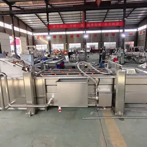 果蔬气泡清洗机小龙虾清洗设备葡萄干瓜果气泡清洗机厂家直销