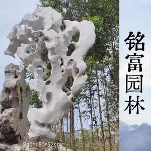 多孔独石太 湖石 庭院造景孤石 窟窿多景观太 湖石现货