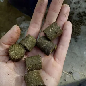 �˲����׽ոѳ���ѹ��� ������ѹ�������