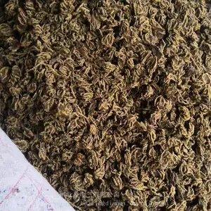黄连之乡大雪天品尝收获之甜湖北利川种苦黄连过甜日子