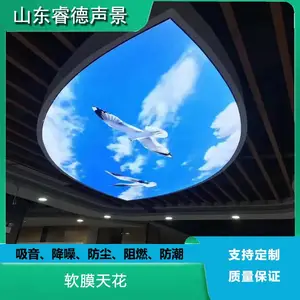 rayde 防火透光膜会议室灯箱 写字楼B1级阻燃吸音降噪软膜天花