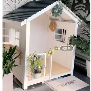 ����ľ��
