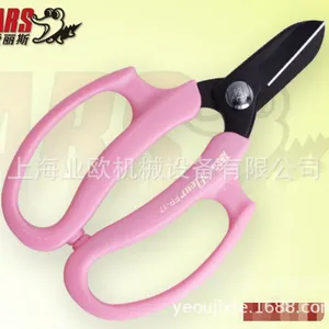 �ձ�����˹ ARS FP-17-P �������ռ��� �廨�� ����԰���辰֦��
